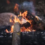 Дом отдыха Park Millinge